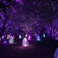 natsu-nyanko (@natsu_aira_52) 's Twitter Profile Photo