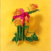 mohamad rahal (@mohamadrah77877) Twitter profile photo