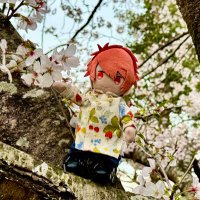 ゆう (@sora_roro) 's Twitter Profile Photo ゆう (@sora_roro) 's Twitter Profile Photo
