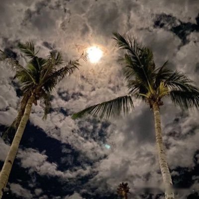 ali_O_alamer's profile picture. ( حساب شخصي)
