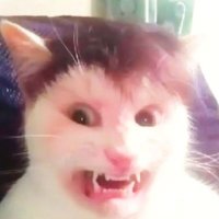 Dumpacc (@dumpacclelel) 's Twitter Profile
