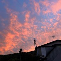 ﾏﾂﾏｴ (@mae_0801) Twitter profile photo