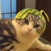 乂 (@id_808) Twitter profile photo 乂 (@id_808) Twitter profile photo
