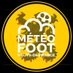 MFHDF (@meteofoothdf) Twitter profile photo MFHDF (@meteofoothdf) Twitter profile photo