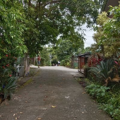 flatwallenamel's profile picture. 