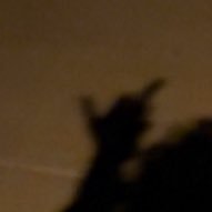 sheknowsheluvit's profile picture. 