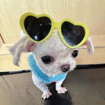 __Abbey_'s profile picture. ✨frameless heads on nameless walls, with eyes that watch the world and can't forget✨ • she/her• 🍯