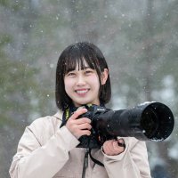 長谷野乃子 (@nagatani_nonoko) 's Twitter Profile Photo
