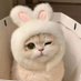Thanh Thanh (@bemeo_dzam) Twitter profile photo Thanh Thanh (@bemeo_dzam) Twitter profile photo