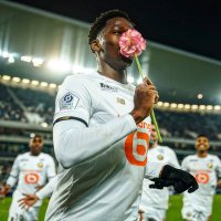 LOSC Sam (@codesamfrozen) 's Twitter Profile