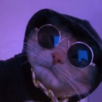 no context the kabyk (@nocontextkabyk) Twitter profile photo