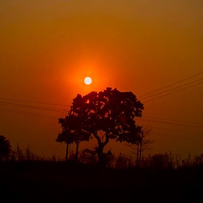 NikhilP0411's profile picture. 