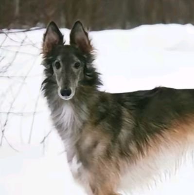 Kyijne's profile picture. Hi! I'm Kunne, also known as Kujnne or Kyi,
I mainly post arts/drawings but there are times I post random stuff  (⁠｡⁠•̀⁠ᴗ⁠-⁠)⁠✧