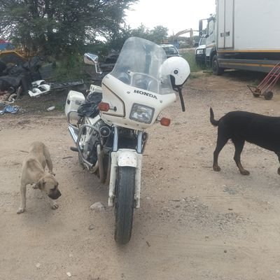 joe_tinei's profile picture. 