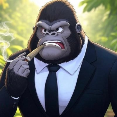 beveiligingg's profile picture. logic first, utopia later