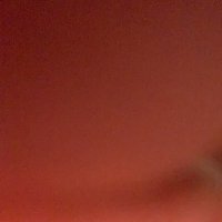 Michael A (@mikea1412) 's Twitter Profile
