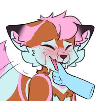 Gay/pan furry 22, 🔞sub leaning Folf, love big tails and Beeg pp :https://t.co/2e5sgkCGzc normal acc is @Ashcityfurry 🔞