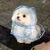 1083 (@1083pami) Twitter profile photo 1083 (@1083pami) Twitter profile photo