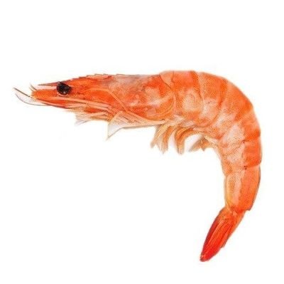 ชื่อ:เย่ ตำแหน่ง:กุ้ง