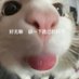张 (@zhangy03221) Twitter profile photo 张 (@zhangy03221) Twitter profile photo