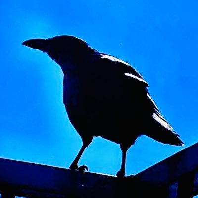 岡本浩さんのプロフィール画像