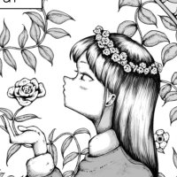 rare (@midori_if) 's Twitter Profile Photo