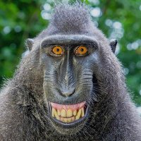 MéméPénible alias Jeanne Aymar. (@memepenible47) 's Twitter Profile Photo MéméPénible alias Jeanne Aymar. (@memepenible47) 's Twitter Profile Photo