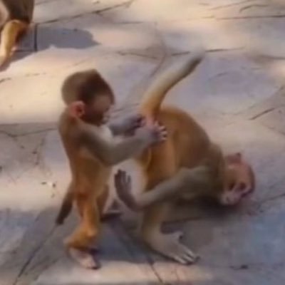 watzmann8000's profile picture. hossa