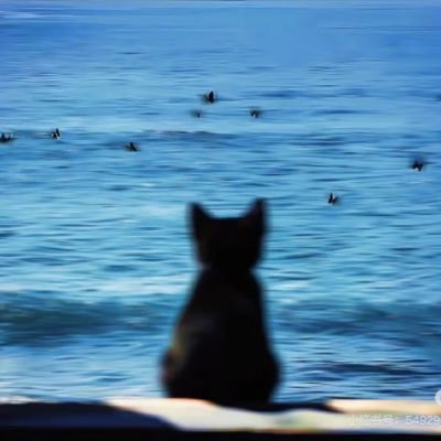 RozoEove's profile picture. 