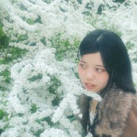 よな/もしもFortissimo (@_47msfr) 's Twitter Profile
