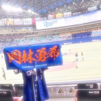 mina (@dragons_mina) 's Twitter Profile