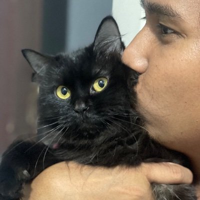 KaneCastan51987's profile picture. 