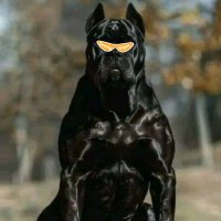 olad moses (Ø,G) 💙 (@oladmoses) 's Twitter Profile Photo