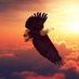 Free Bird. ഫ്രീ 🦅 (@voiceoftvm) Twitter profile photo Free Bird. ഫ്രീ 🦅 (@voiceoftvm) Twitter profile photo
