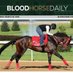 Bethany Taylor (@jockeybethany) Twitter profile photo Bethany Taylor (@jockeybethany) Twitter profile photo