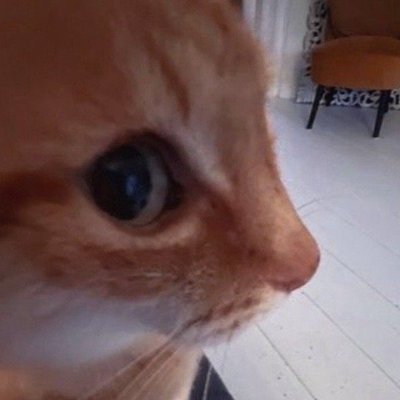 yuki88679971979's profile picture. 👉👈