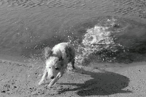 anni_welch's profile picture. Just curious....