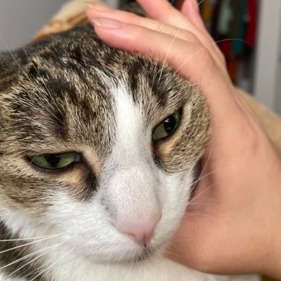 :3 redさんのプロフィール画像