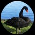 一生一緒にバイサイド (@fakenaturalborn) Twitter profile photo 一生一緒にバイサイド (@fakenaturalborn) Twitter profile photo