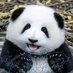 Zane Howe(%FO) (@zhouhao8009) Twitter profile photo Zane Howe(%FO) (@zhouhao8009) Twitter profile photo