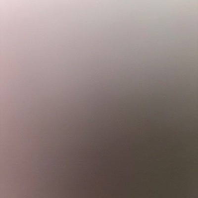 DianaGross's profile picture. ShieldYourDataFromMusk