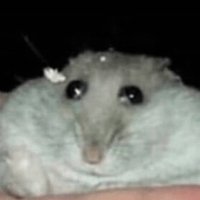 mochiqq (@mochi_q_q) 's Twitter Profile