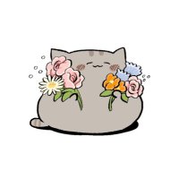 𝙷𝙰𝚁𝚄𝙺𝙰 (@happygyuni) 's Twitter Profile Photo 𝙷𝙰𝚁𝚄𝙺𝙰 (@happygyuni) 's Twitter Profile Photo