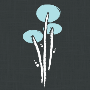 SakSaum's profile picture. Sak Saum is a ministry dedicated to the rescue, restoration, transformation, and rehabilitation of vulnerable and exploited women.