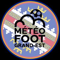 MFGE (@meteofootge) 's Twitter Profile
