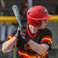 Andersen Dills (@dillsthenatural) 's Twitter Profile
