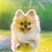 おもち💛ྀི (@amo_shutooooooo) 's Twitter Profile