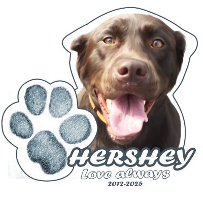 Tweeting about personal interests. Ideas. Thoughts. Dogs. Entrepreneurship. Music. Travel. News. https://t.co/NbUvKOivdr https://t.co/8sqaMTxA5R