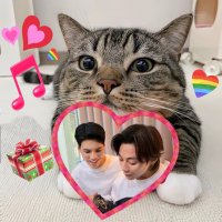 don’t call me Candy (@kittycandy1313) 's Twitter Profile Photo don’t call me Candy (@kittycandy1313) 's Twitter Profile Photo