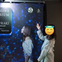 みな (@mina_dctcg) 's Twitter Profile